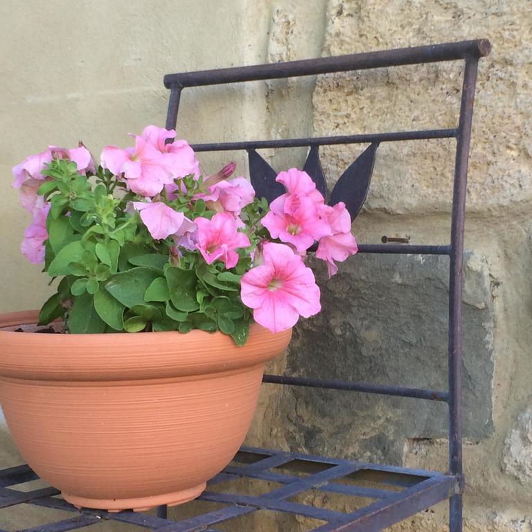 Casolare Di Remignoli Pension San Gimignano Buitenkant foto